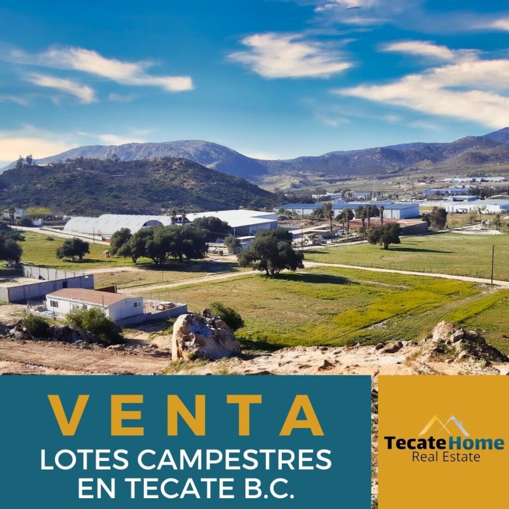 BEAUTIFUL LOTS FOR SALE IN TECATE