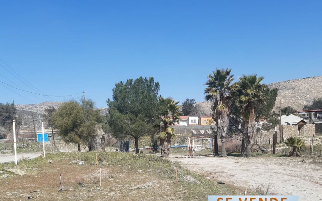 490 metros para tu CASA o NEGOCIO en Tecate