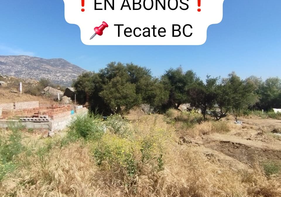 BONITO TERRENO RUSTICO EN ABONOS