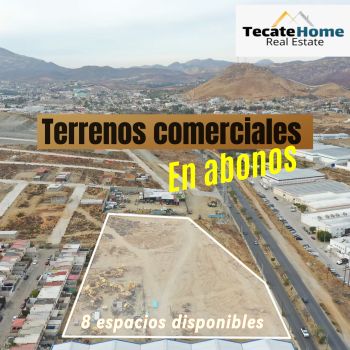 {"source_type":"vicut","data":{},"editType":"image_edit","pictureId":"075FF99E-ECB0-4BB3-952C-5926699EAB20","tiktok_developers_3p_anchor_params":"{"source_type":"vicut","capability_name":"retouch_edit_tool","client_key":"aw889s25wozf8s7e","picture_template_id":""}","exportType":"image_export"}